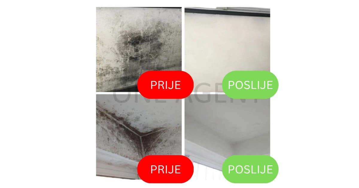 Sprej za otklanjanje buđi 3